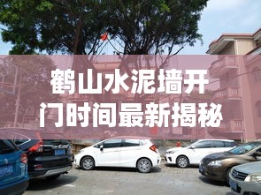 鹤山水泥墙开门时间最新揭秘，不容错过的更新资讯！