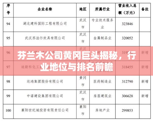 芬兰木公司黄冈巨头揭秘，行业地位与排名前瞻