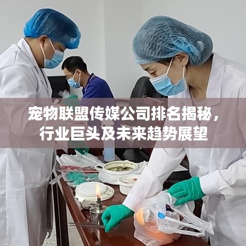 宠物联盟传媒公司排名揭秘，行业巨头及未来趋势展望