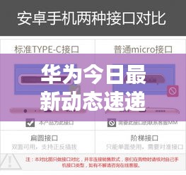 华为今日最新动态速递
