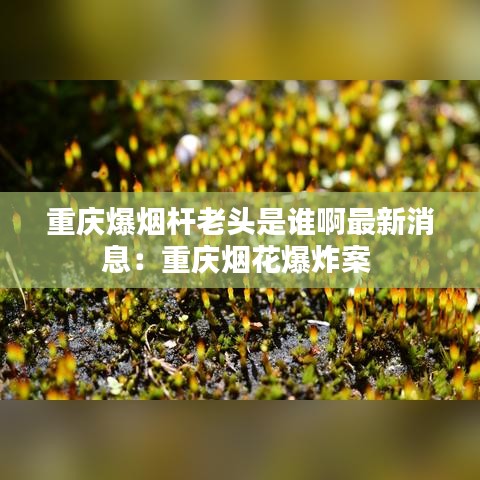 重庆爆烟杆老头是谁啊最新消息：重庆烟花爆炸案 