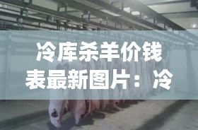 冷库杀羊价钱表最新图片：冷库灭鼠最佳方法 