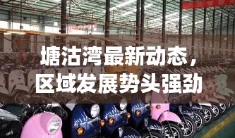 塘沽湾最新动态，区域发展势头强劲，新项目进展引人瞩目