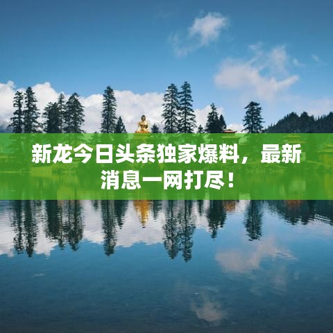 新龙今日头条独家爆料，最新消息一网打尽！