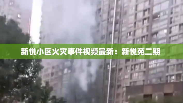 新悦小区火灾事件视频最新：新悦苑二期 