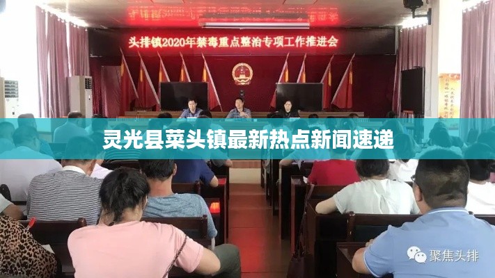 灵光县菜头镇最新热点新闻速递