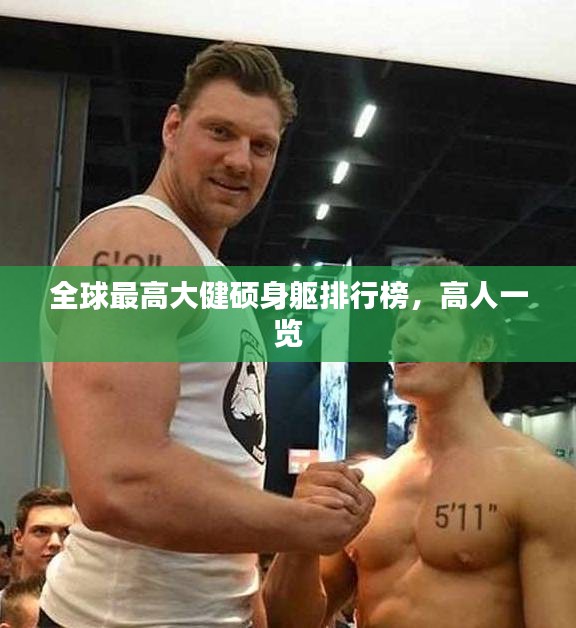 全球最高大健硕身躯排行榜，高人一览