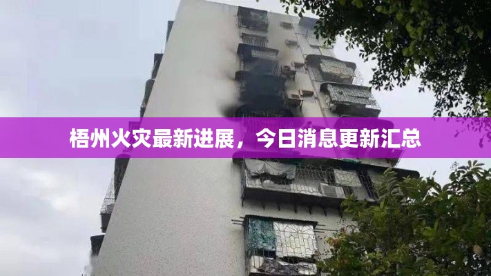梧州火灾最新进展，今日消息更新汇总