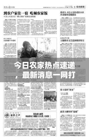 今日农家热点速递，最新消息一网打尽！