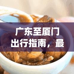 广东至厦门出行指南，最新交通攻略全解析