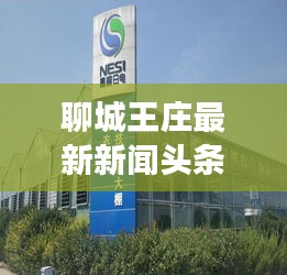 聊城王庄最新新闻头条，揭秘当地发展新动态