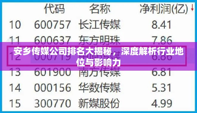 安乡传媒公司排名大揭秘，深度解析行业地位与影响力
