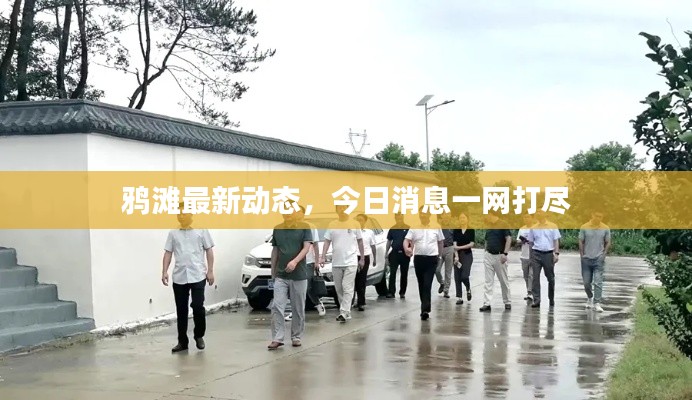 鸦滩最新动态，今日消息一网打尽
