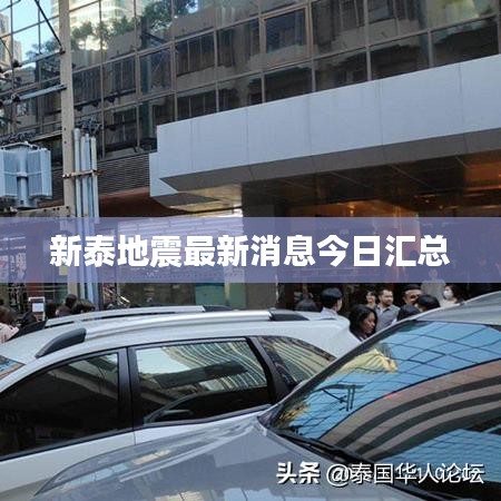 新泰地震最新消息今日汇总