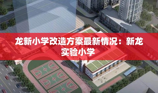 龙新小学改造方案最新情况：新龙实验小学 