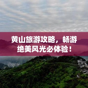 狐假虎威 第3页