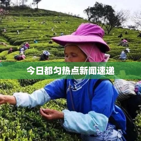 今日都匀热点新闻速递