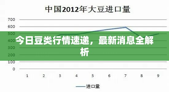 今日豆类行情速递，最新消息全解析