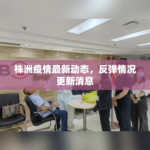 株洲疫情最新动态，反弹情况更新消息
