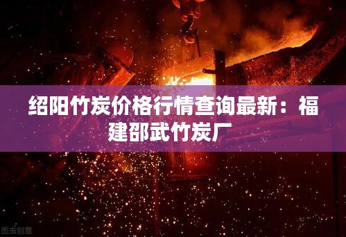 绍阳竹炭价格行情查询最新：福建邵武竹炭厂 