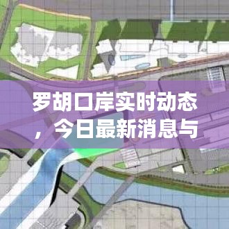 罗胡口岸实时动态，今日最新消息与现场情况速览