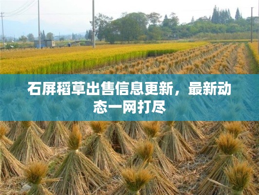 石屏稻草出售信息更新，最新动态一网打尽