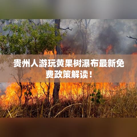 花香鸟语 第2页
