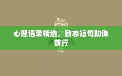 贵险贱璧 第2页