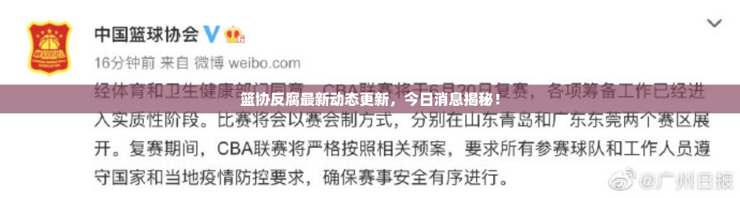 篮协反腐最新动态更新，今日消息揭秘！