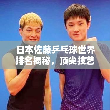 日本佐藤乒乓球世界排名揭秘，顶尖技艺如何影响全球乒乓球格局？
