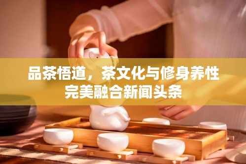 品茶悟道，茶文化与修身养性完美融合新闻头条