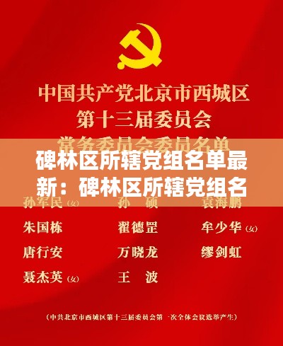 碑林区所辖党组名单最新：碑林区所辖党组名单最新公示 