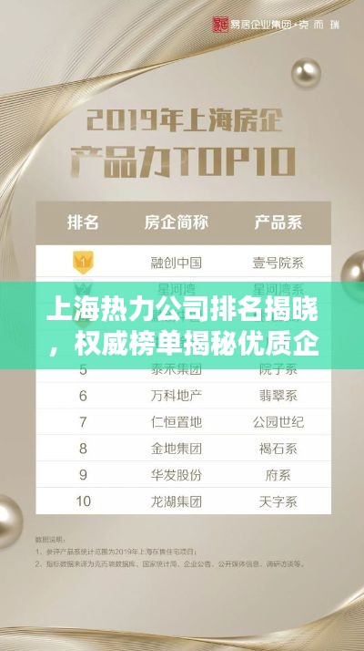 上海热力公司排名揭晓，权威榜单揭秘优质企业！