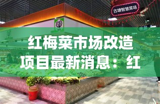 红梅菜市场改造项目最新消息：红梅市场旁边是什么小区 