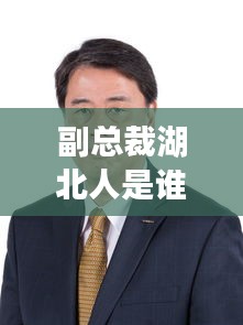 副总裁湖北人是谁啊最新消息：副总裁由谁任命 