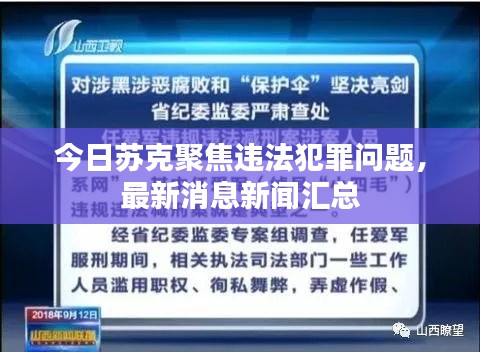 今日苏克聚焦违法犯罪问题，最新消息新闻汇总