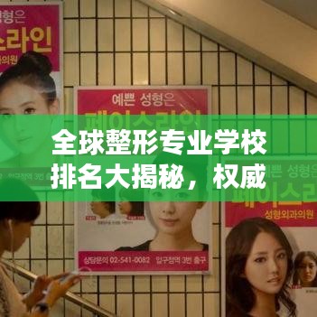全球整形专业学校排名大揭秘，权威解析，你想知道的都在这里！