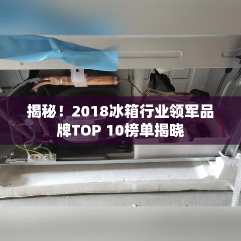 屦贱踊贵 第2页