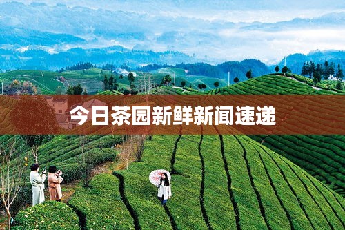 神采奕奕 第3页