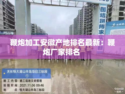 鞭炮加工安徽产地排名最新：鞭炮厂家排名 