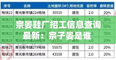 宗晏鞋厂招工信息查询最新：宗子晏是谁 