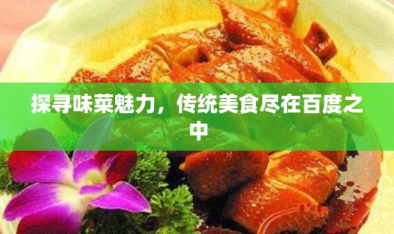 探寻味菜魅力，传统美食尽在百度之中