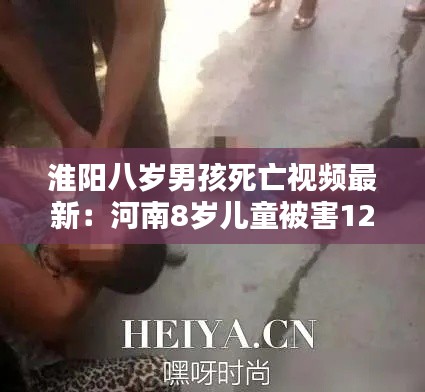 十年磨剑 第2页
