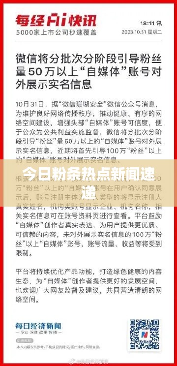 今日粉条热点新闻速递