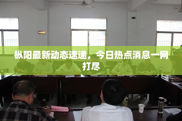 枞阳最新动态速递，今日热点消息一网打尽