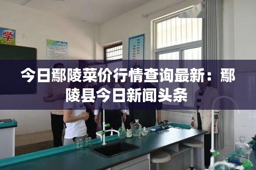 今日鄢陵菜价行情查询最新：鄢陵县今日新闻头条 