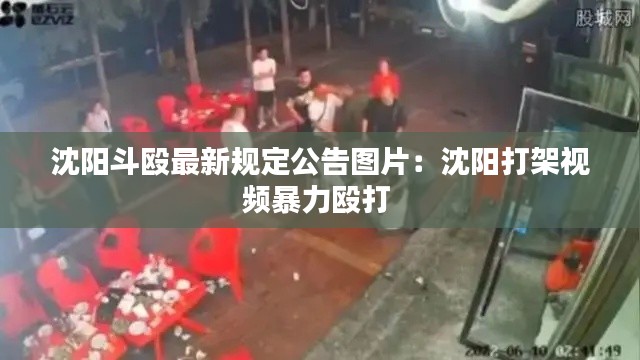 沈阳斗殴最新规定公告图片：沈阳打架视频暴力殴打 