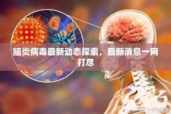 脑炎病毒最新动态探索，最新消息一网打尽