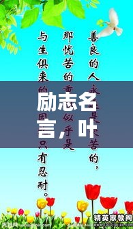 励志名言，叶绾绾追寻梦想的力量，激发无限潜能！