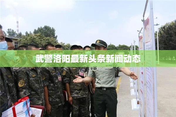 武警洛阳最新头条新闻动态